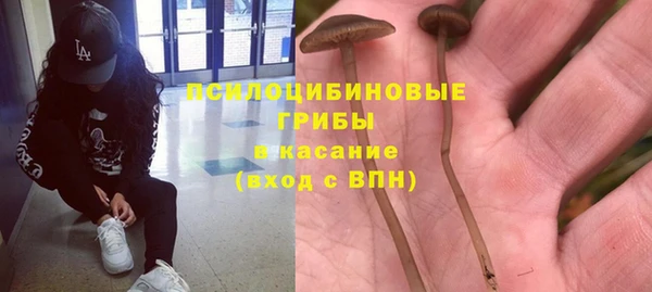 герыч Медногорск