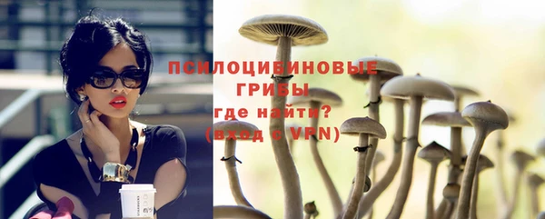 метадон Медвежьегорск