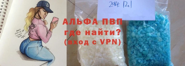 индика Мегион