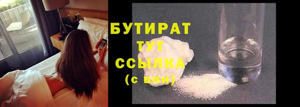 индика Мегион