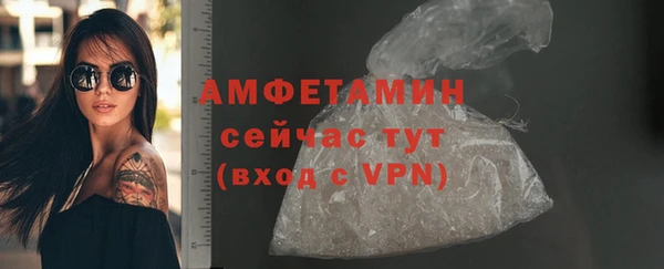 индика Мегион