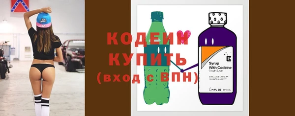 индика Мегион