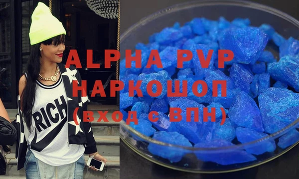 индика Мегион