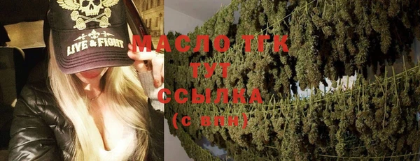 индика Мегион