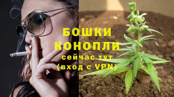индика Мегион