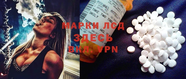 индика Мегион