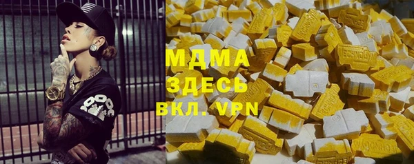 индика Мегион