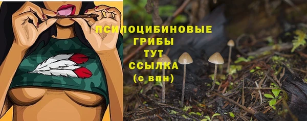 метадон Медвежьегорск