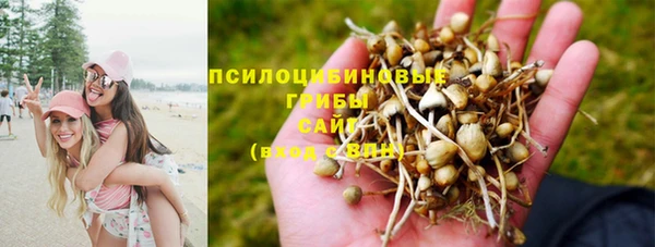 герыч Медногорск