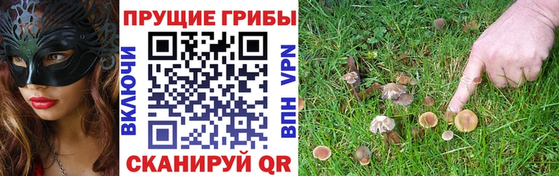 Купить закладки  Руза  Галлюциногенные грибы ЛСД 